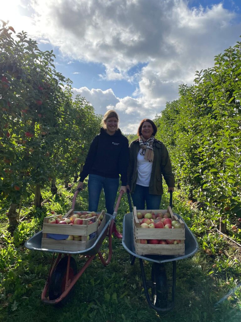 Zwei Personen stehen zwischen Apfelbäumen, jede schiebt eine Schubkarre mit Holzkisten voller Äpfel, bewölkter Himmel im Hintergrund.