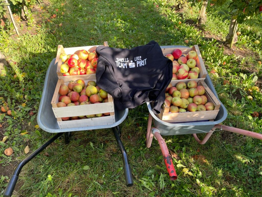 Schubkarre mit vier Holzkisten voller Äpfel und schwarzem Pullover mit weißem Schriftzug 'SMELLS LIKE TEAM SPIRIT' auf Grasfläche.
